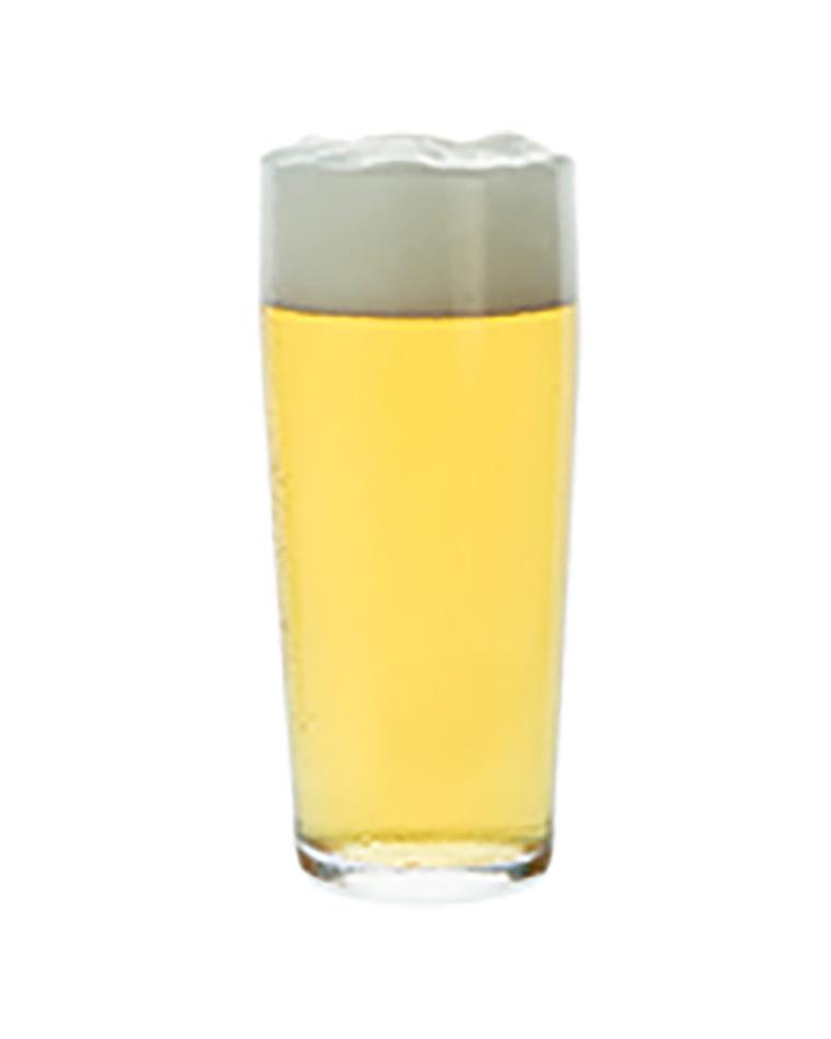 Bierglas - 19 CL - 12 Stück - Mammoet - Budgetline - 136158