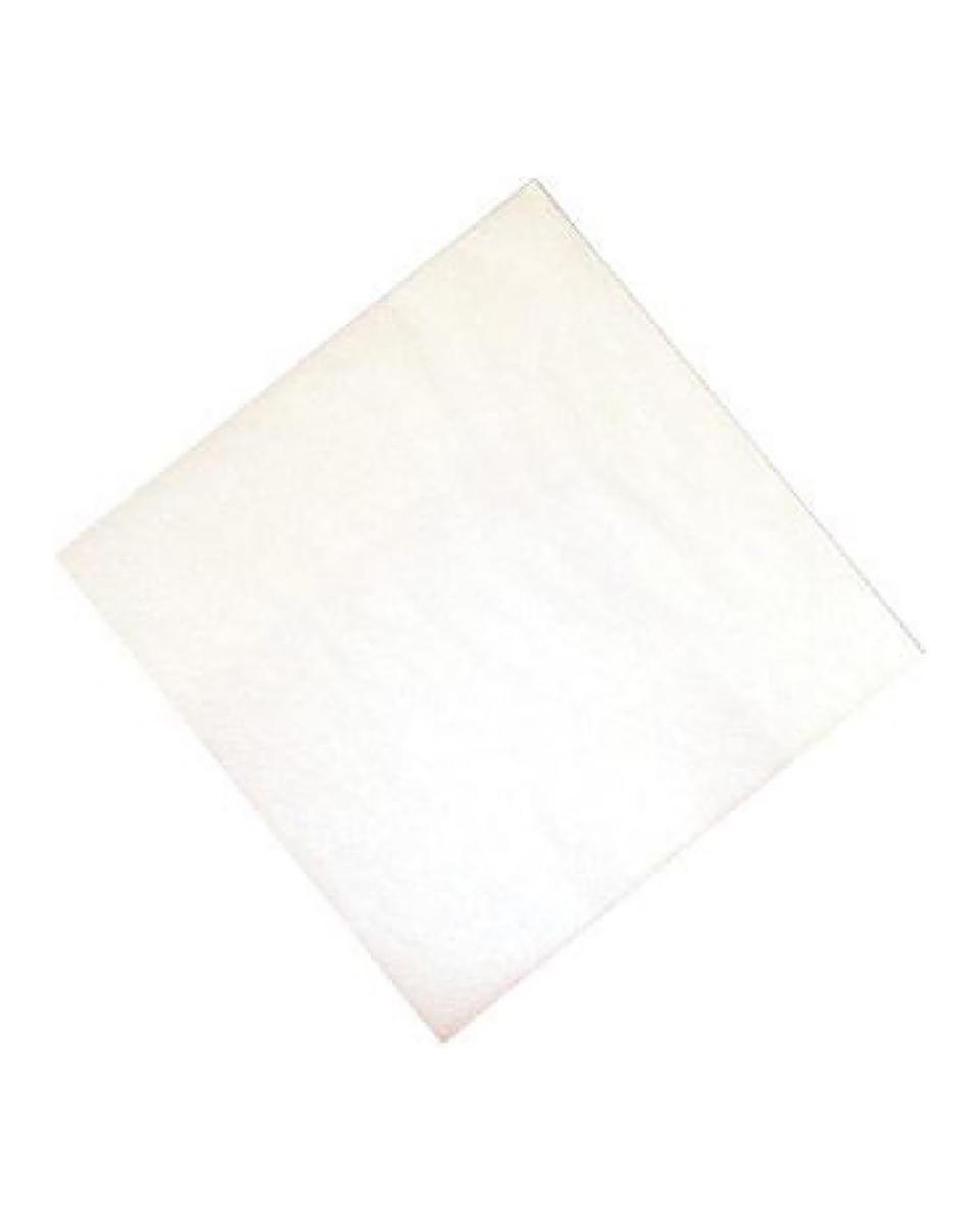 Professionelle Papierservietten - Weiß - 33x33 cm - CK874